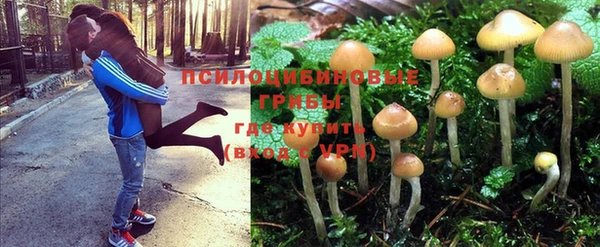 соль курить ск Алзамай