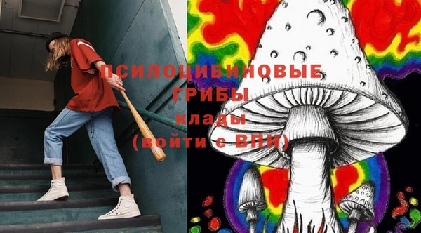 соль курить ск Алзамай