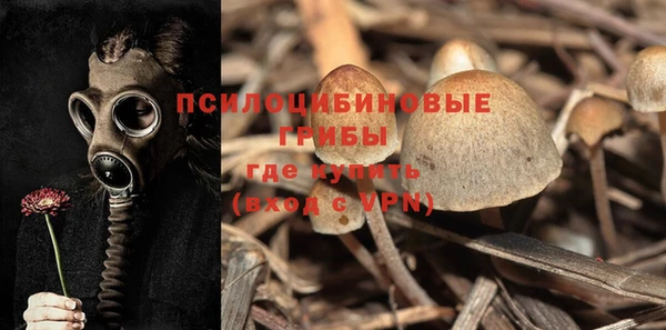 соль курить ск Алзамай